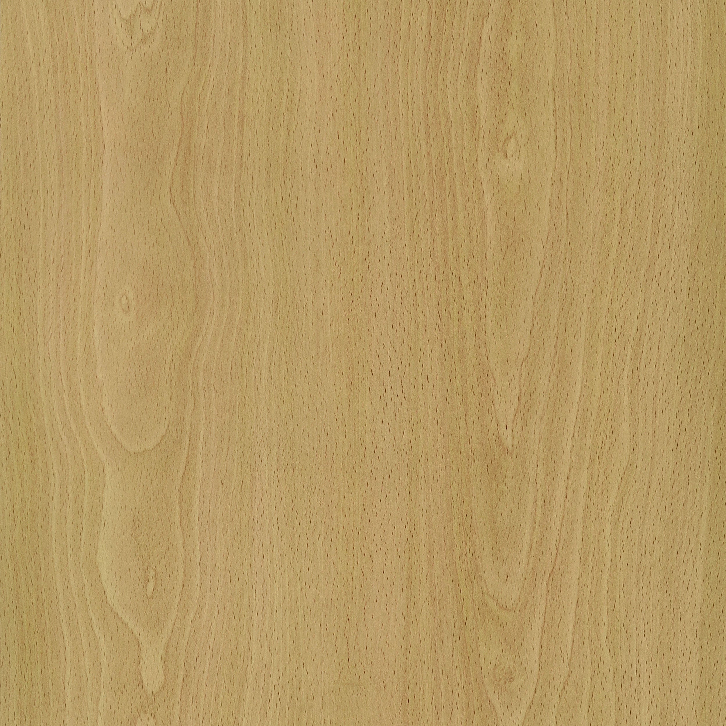 Edwards Four-Panel Room Divider