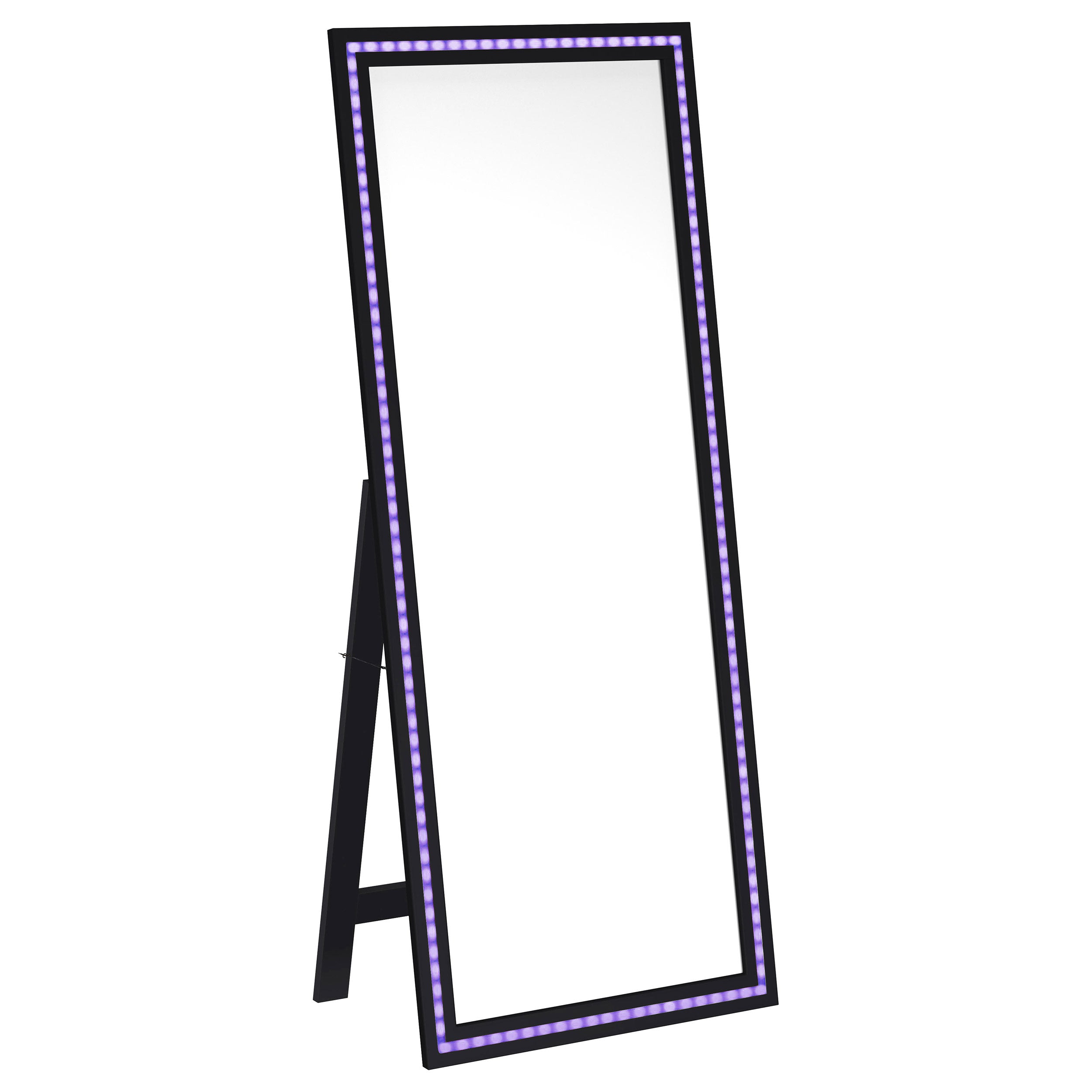 Windrose Standing Mirror with LED Lighting